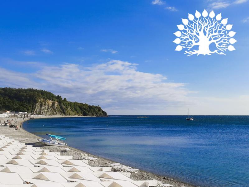 «ЭЛЕМЕНТ» на VII Всероссийском симпозиуме по аналитической химии в Краснодарском крае