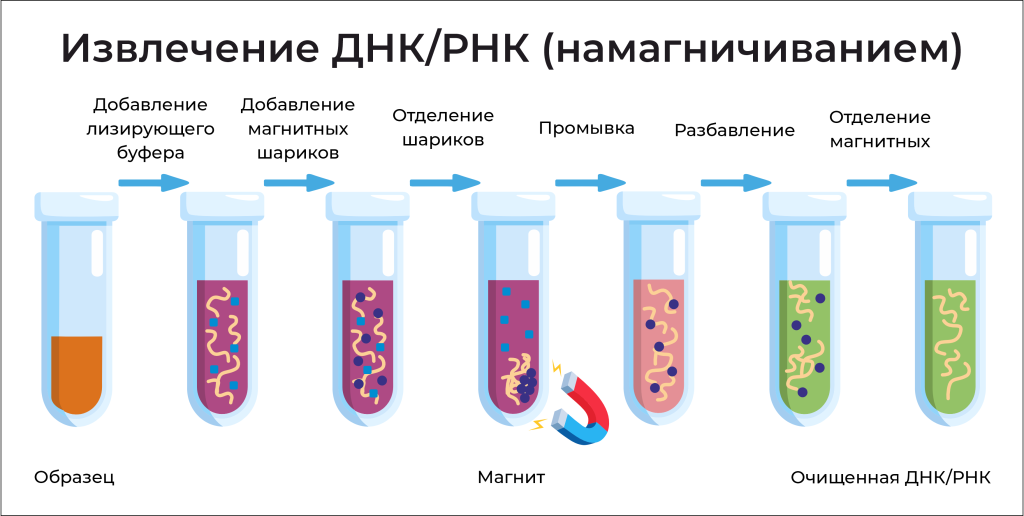 Система M96s подходит для извлечения ДНК из различных образцов, включая кровь, мочу, питательные среды и пр. 
