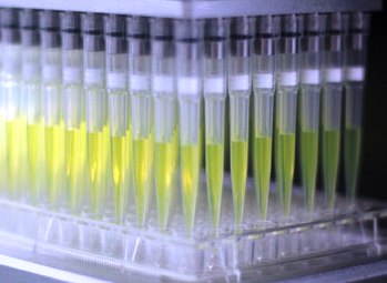 Дозаторы жидкостей RayKol_ЭЛЕМЕНТ.jpg