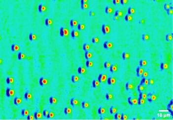 Результат анализа NV-микроскопом